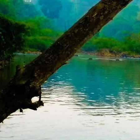 Bedda Eco Cottages Deniyaya Ngoại thất bức ảnh