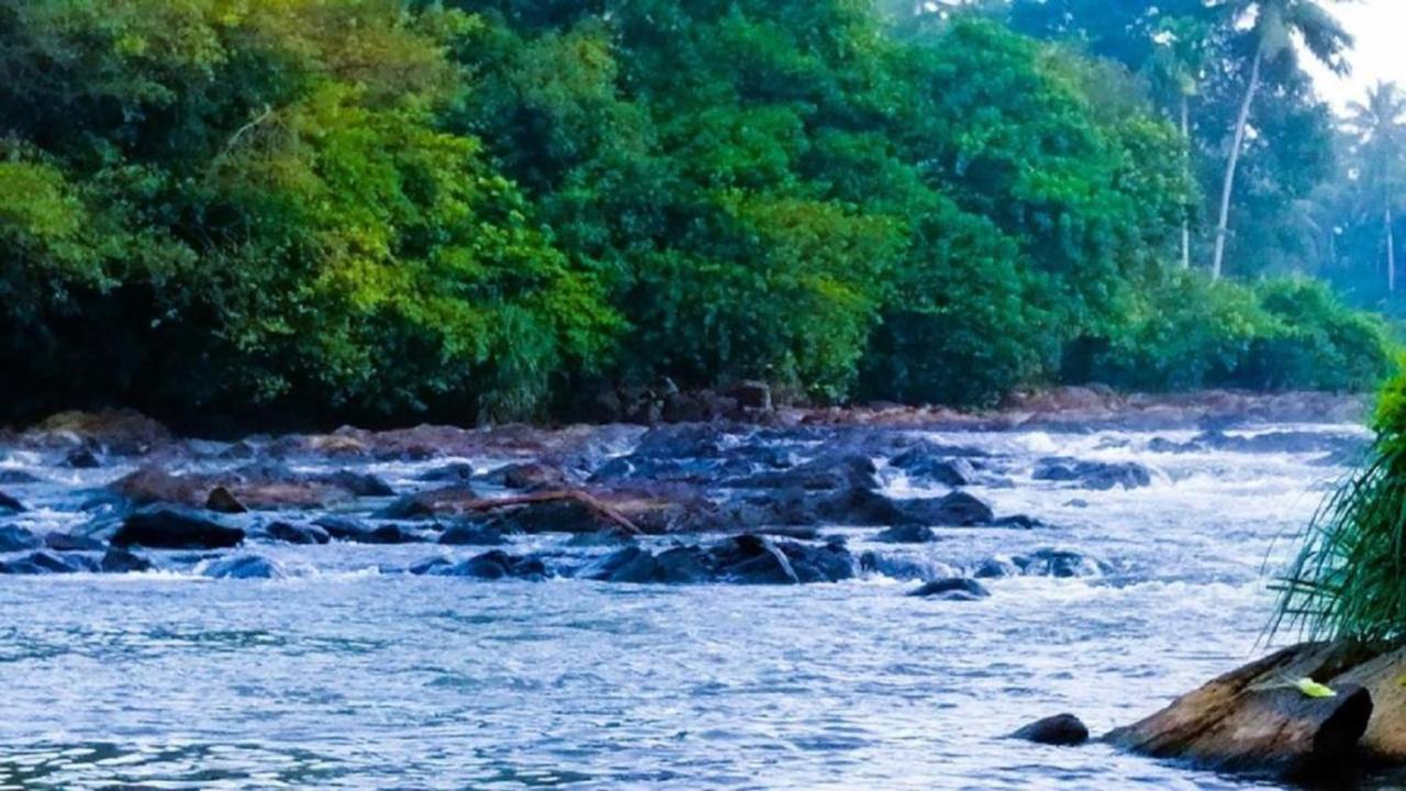 Bedda Eco Cottages Deniyaya Ngoại thất bức ảnh