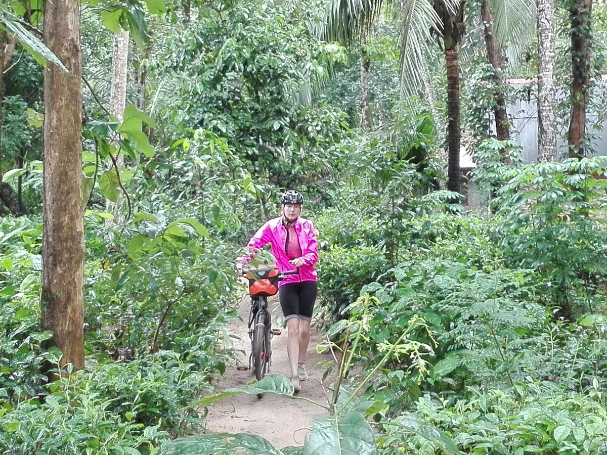 Bedda Eco Cottages Deniyaya Ngoại thất bức ảnh