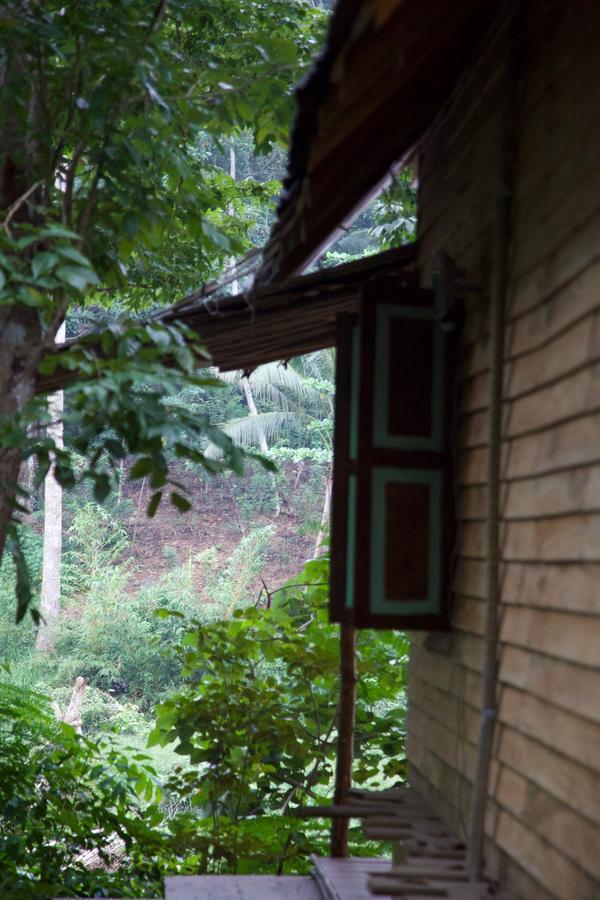 Bedda Eco Cottages Deniyaya Ngoại thất bức ảnh