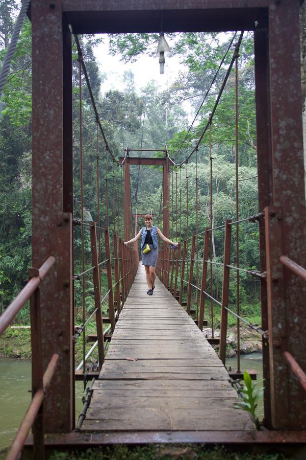 Bedda Eco Cottages Deniyaya Ngoại thất bức ảnh
