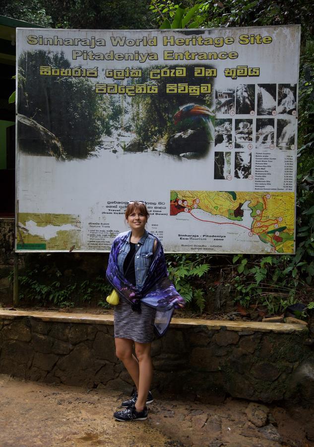 Bedda Eco Cottages Deniyaya Ngoại thất bức ảnh